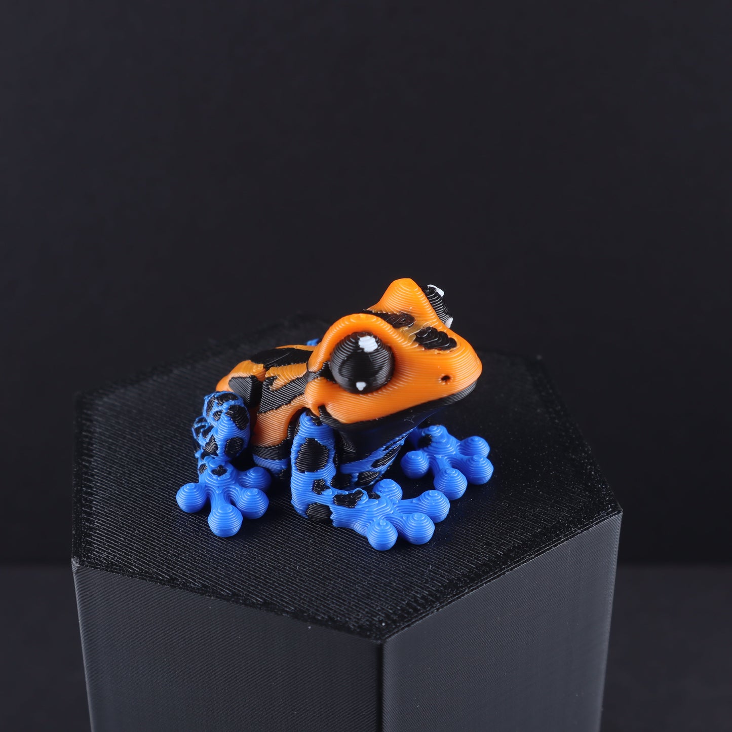 3D Printed Mini Reptile and Amphibian Fidget Toy Set – Articulated Classroom Reward Gift